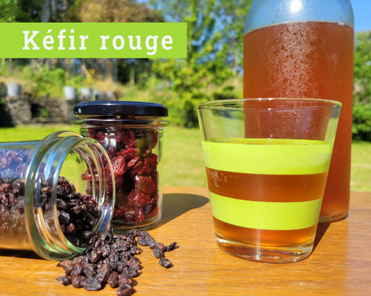 Kéfir rouge | Cranberries & épine-vinette