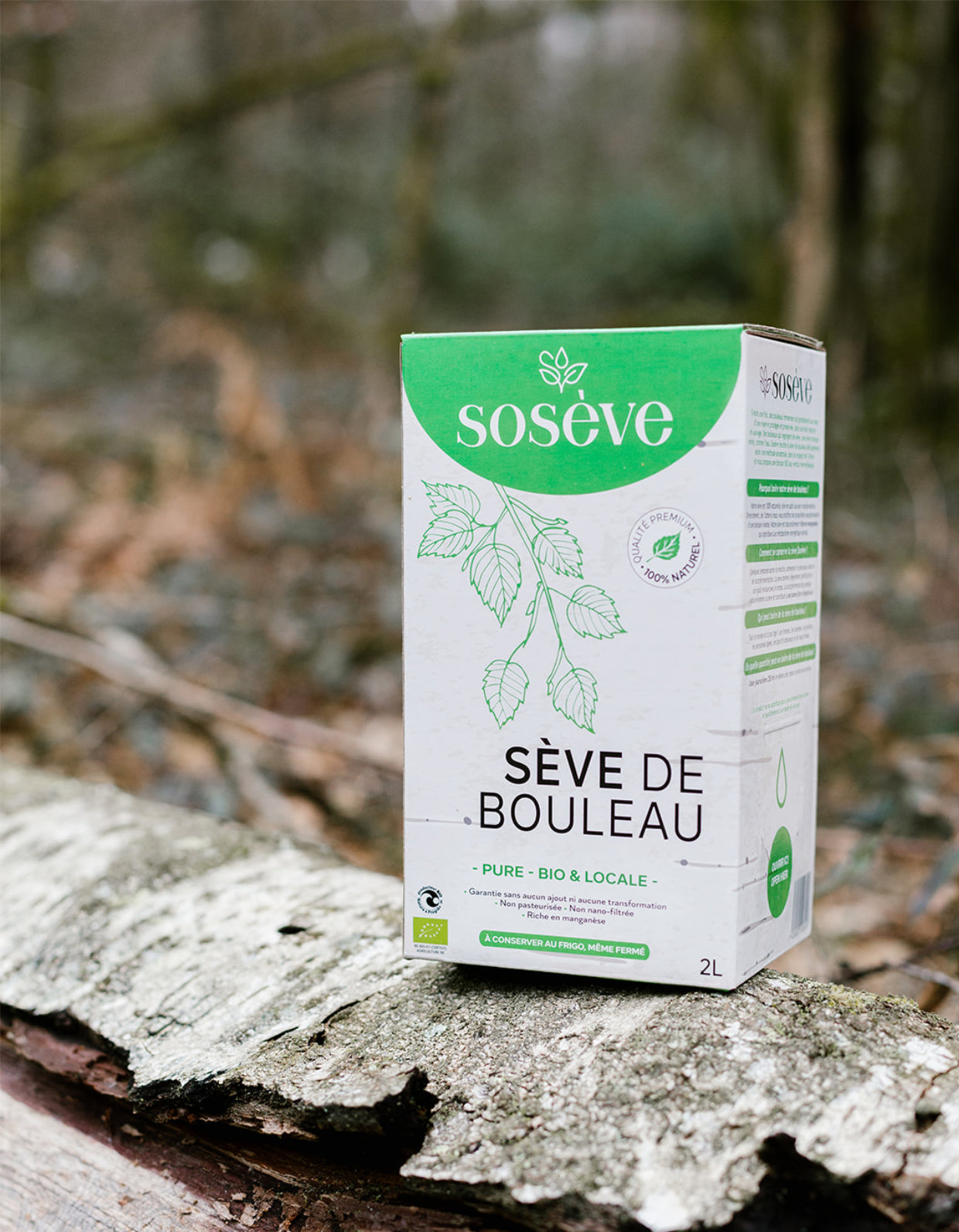 Sève de bouleau | 100 % pure | 5L | Bio