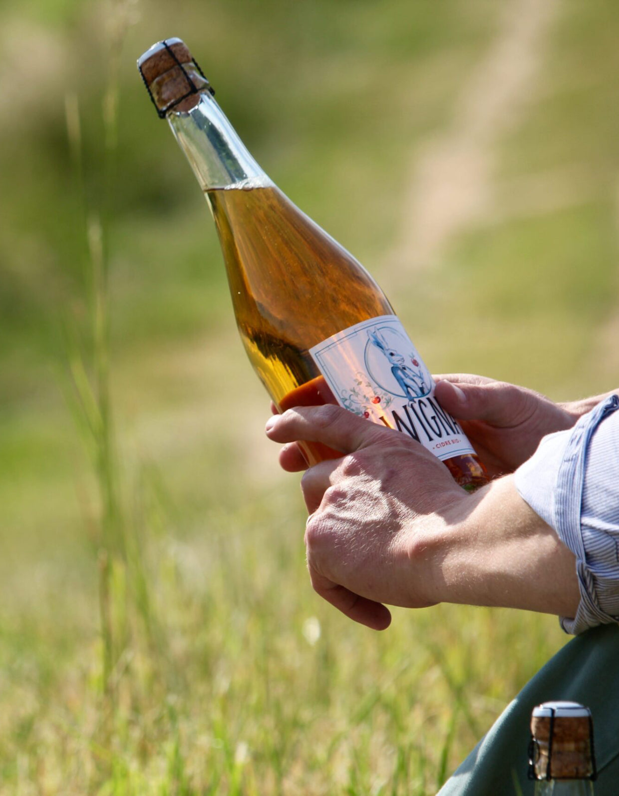Cidre Wignac | 75cl | Bio