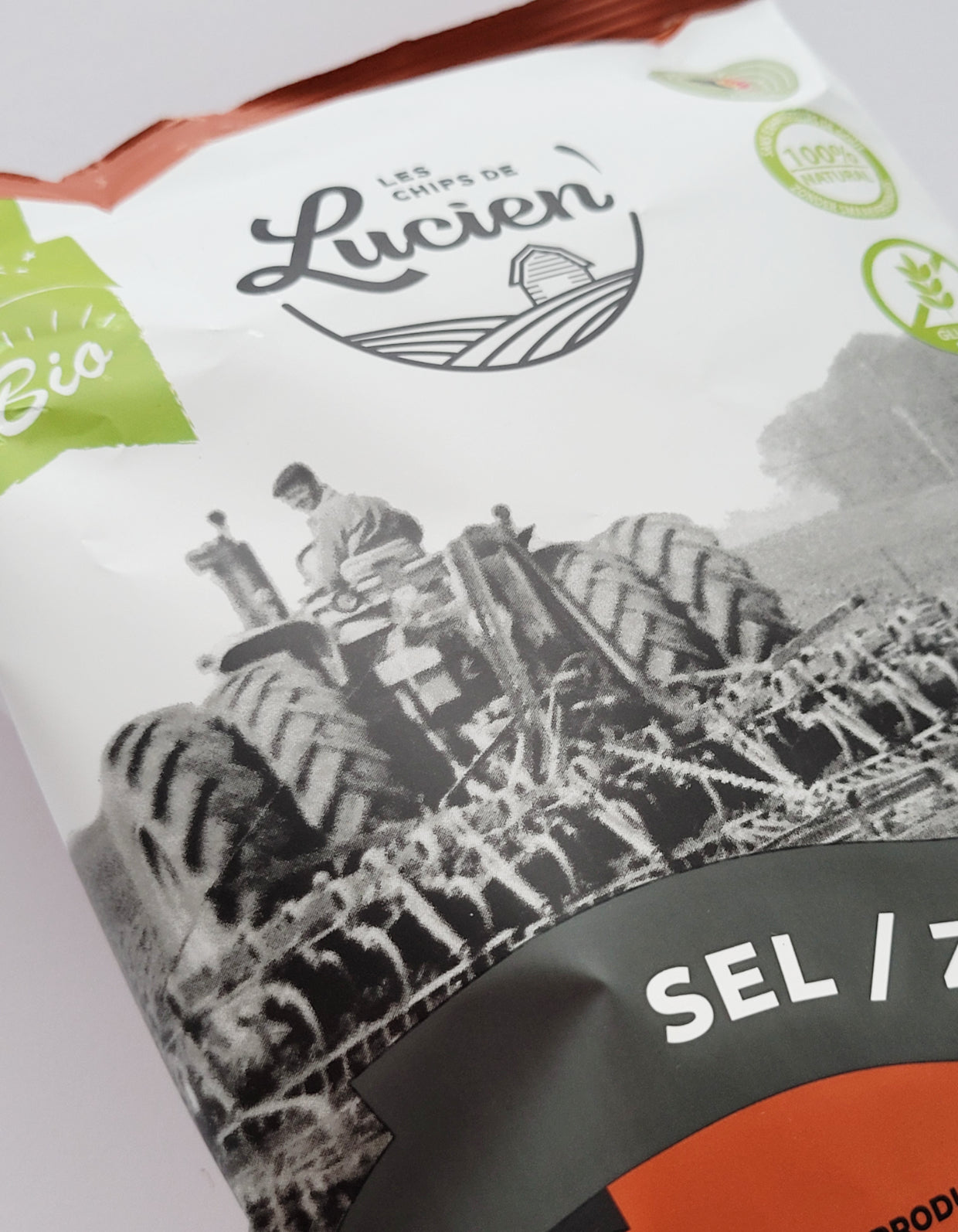 Chips | Sel | 125g | Bio