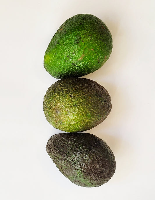 Avocat | 1 Pce | Bio