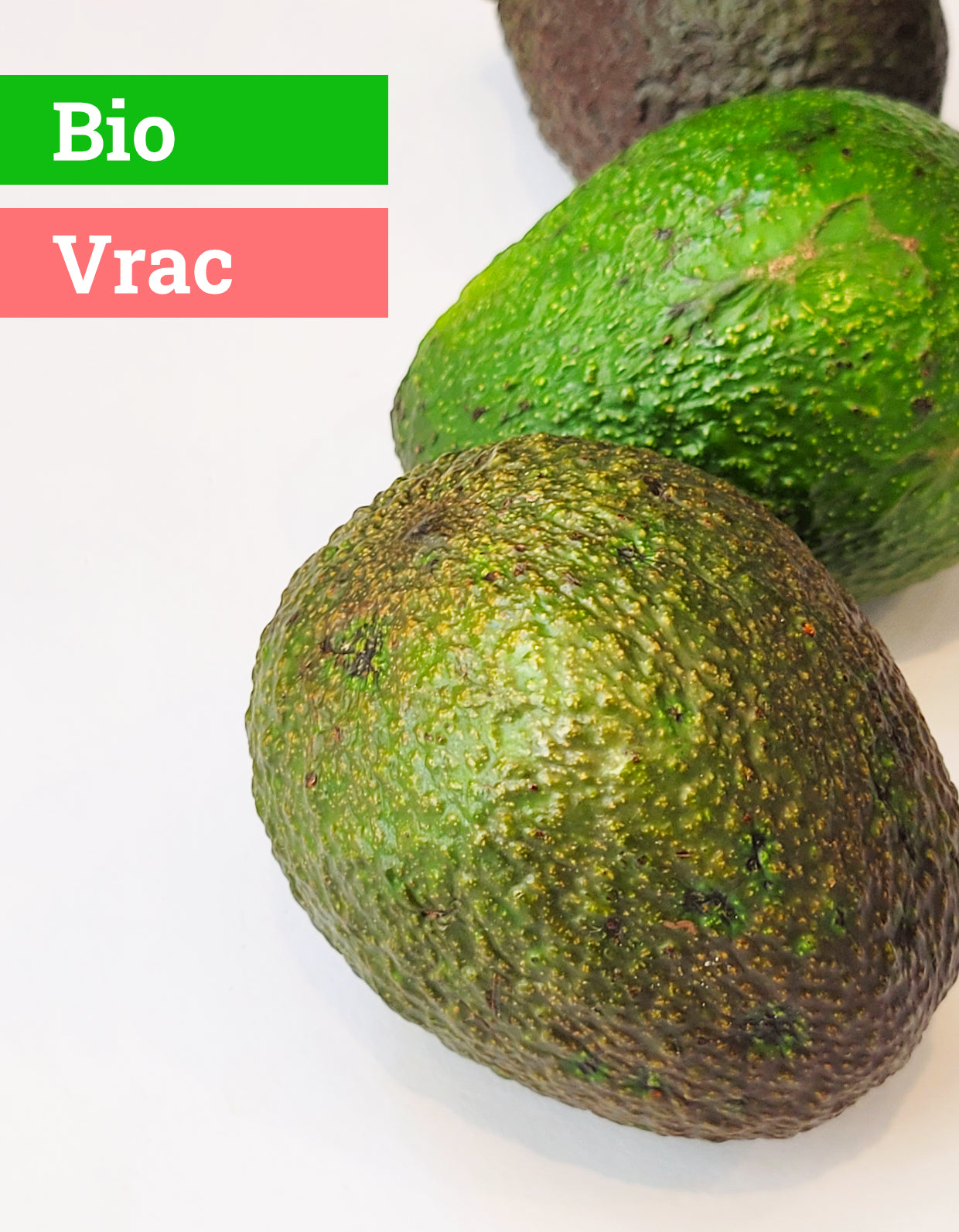 Avocat | Bio