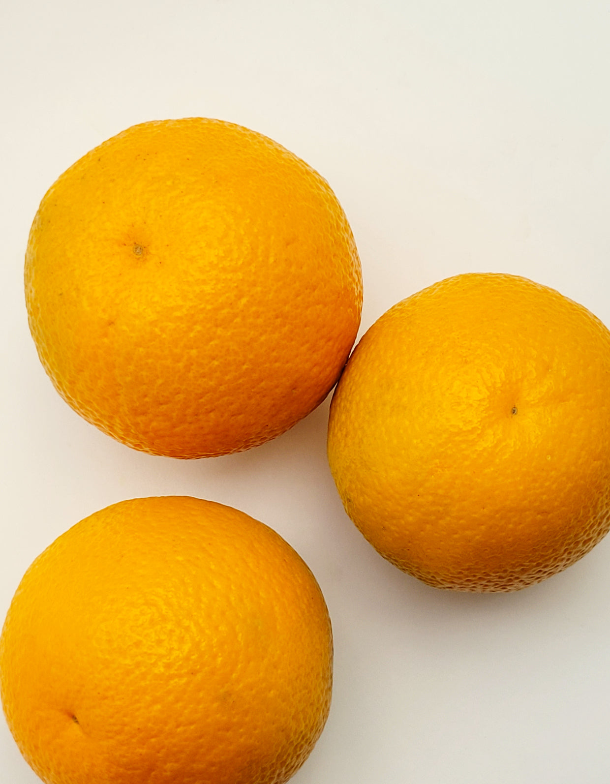 Orange Navel | 1 Pce | Bio