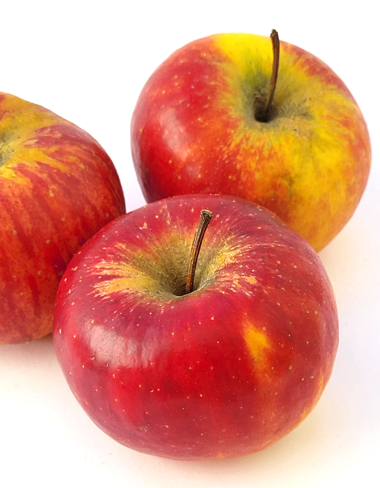 Pomme Topaz | Bio