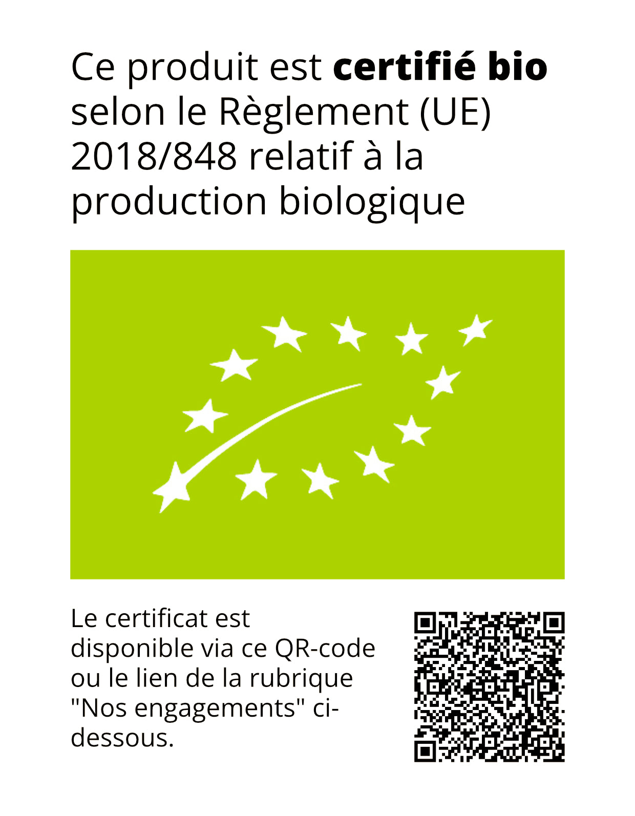 Persil frisé | 1 Pce | Bio