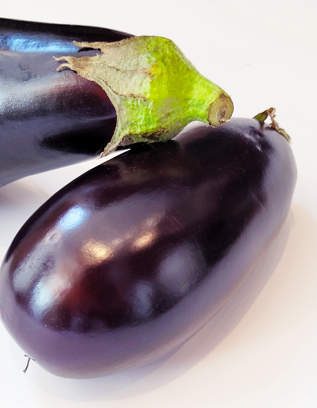 Aubergine | Bio