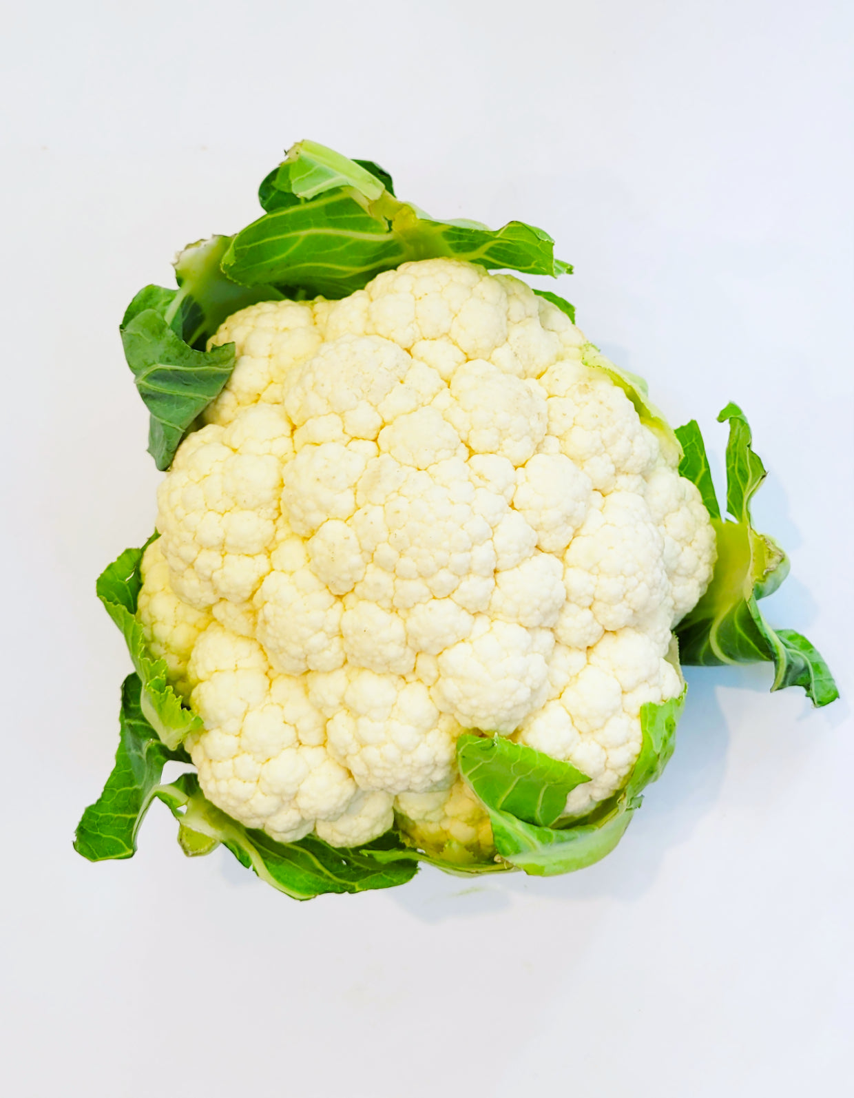 Chou-fleur blanc | Bio