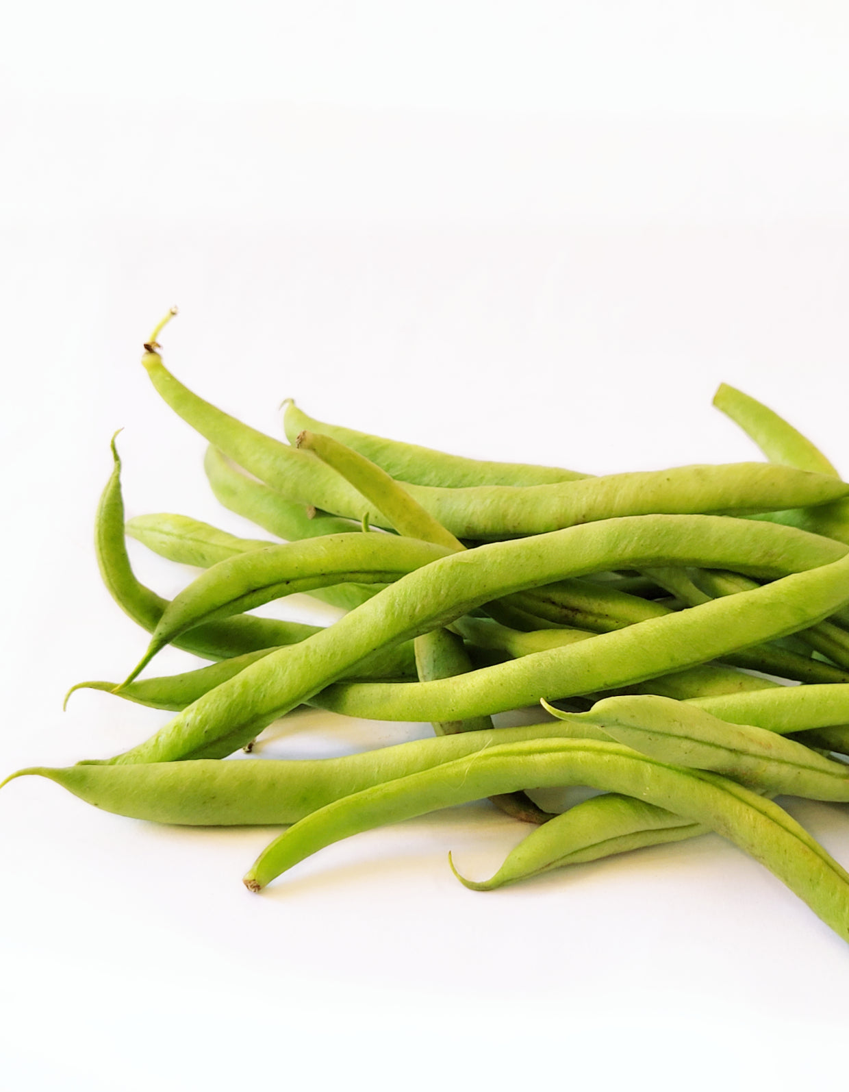 Haricot vert | 200g | Bio