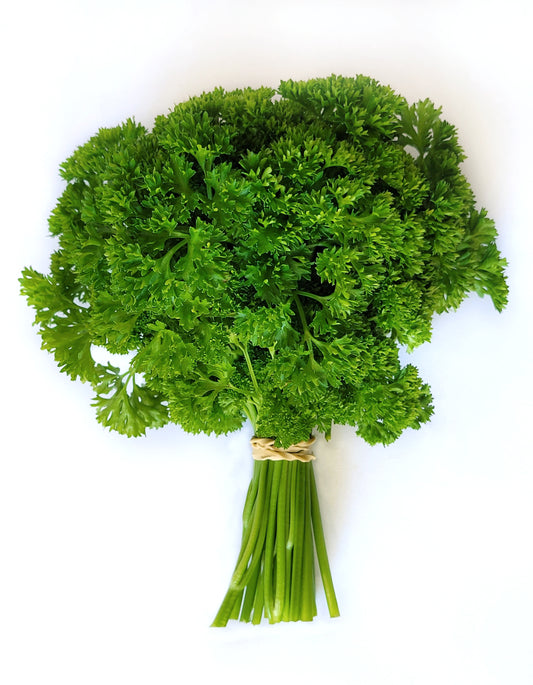 Persil frisé | 1 Pce | Bio