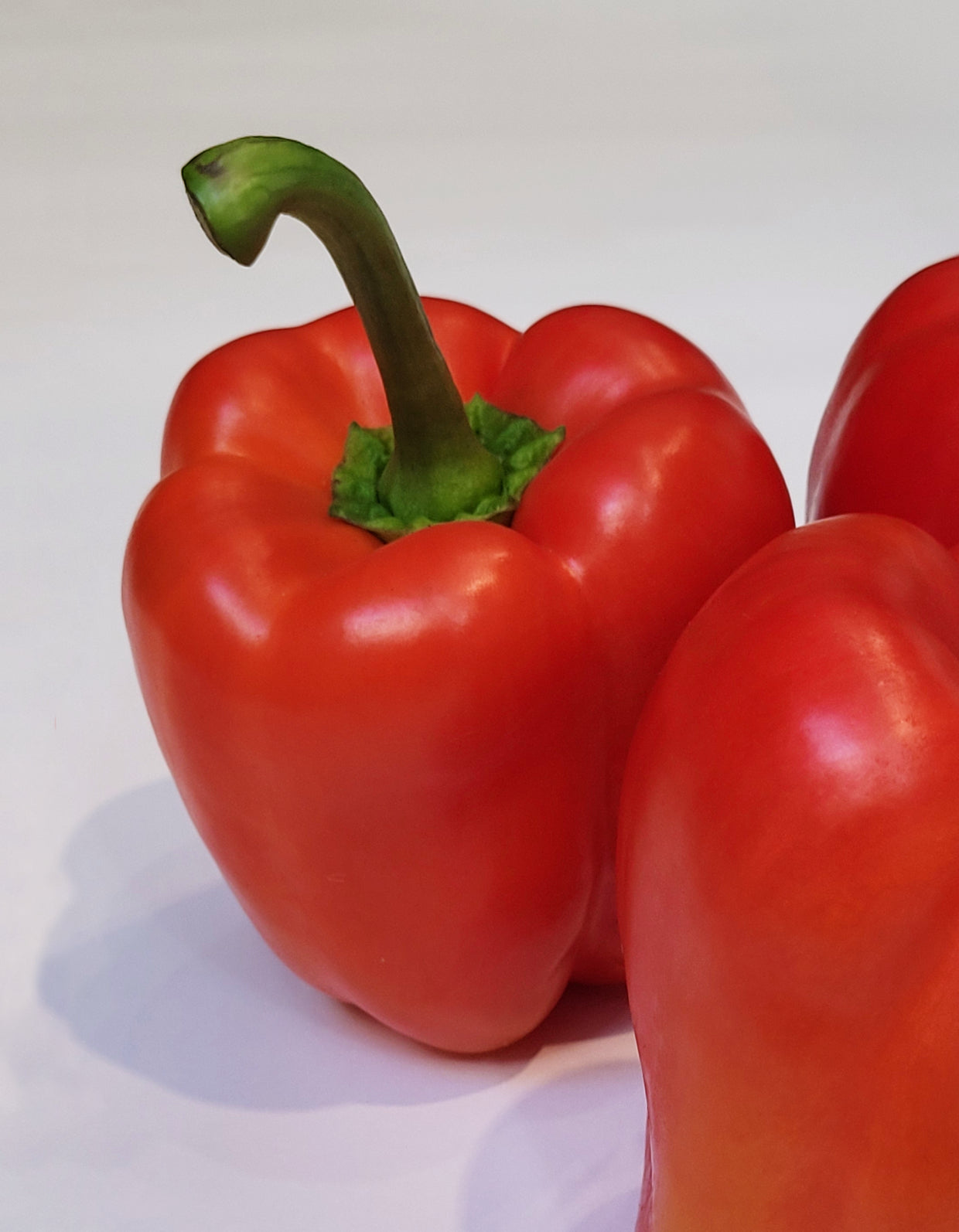 Poivron rouge | 1 Pce | Bio