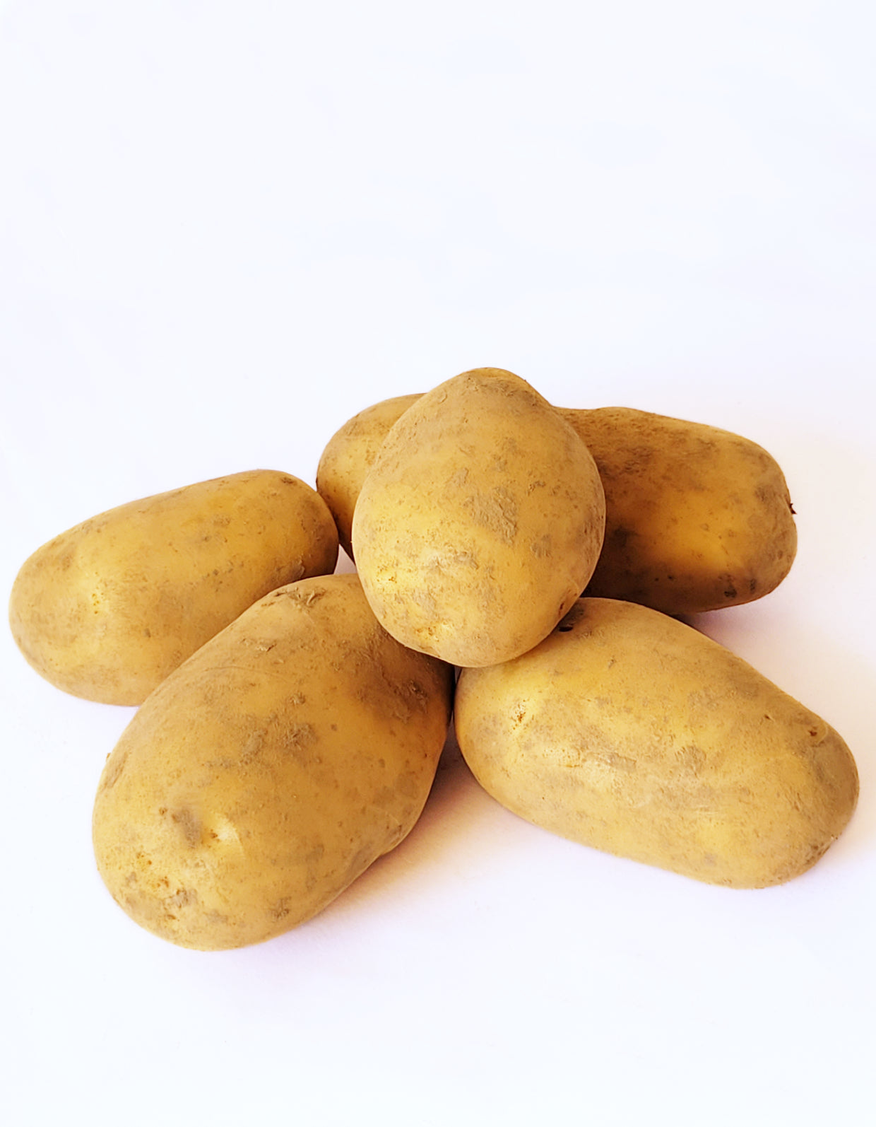 Pomme de terre | Tentation | 500g | Bio