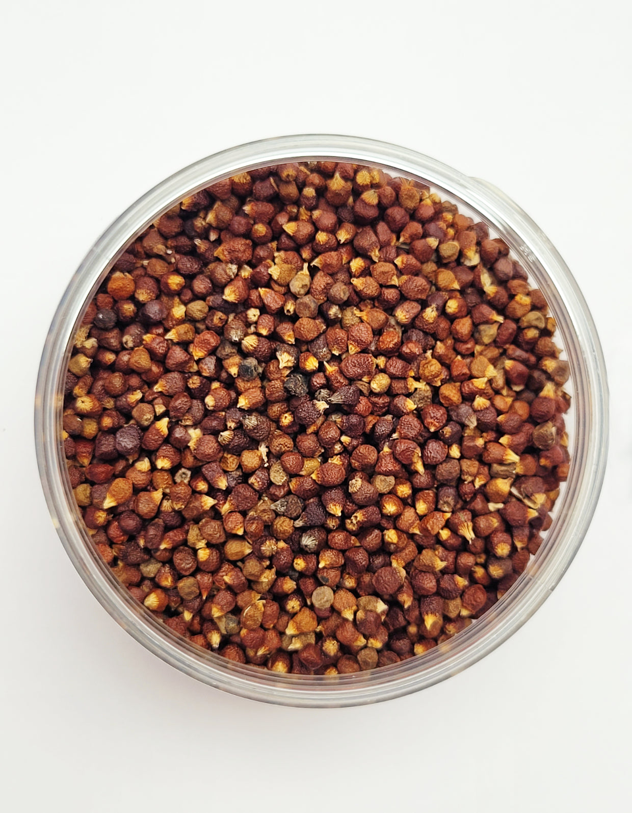 Maniguette | Graine de Paradis | 80g | Bio