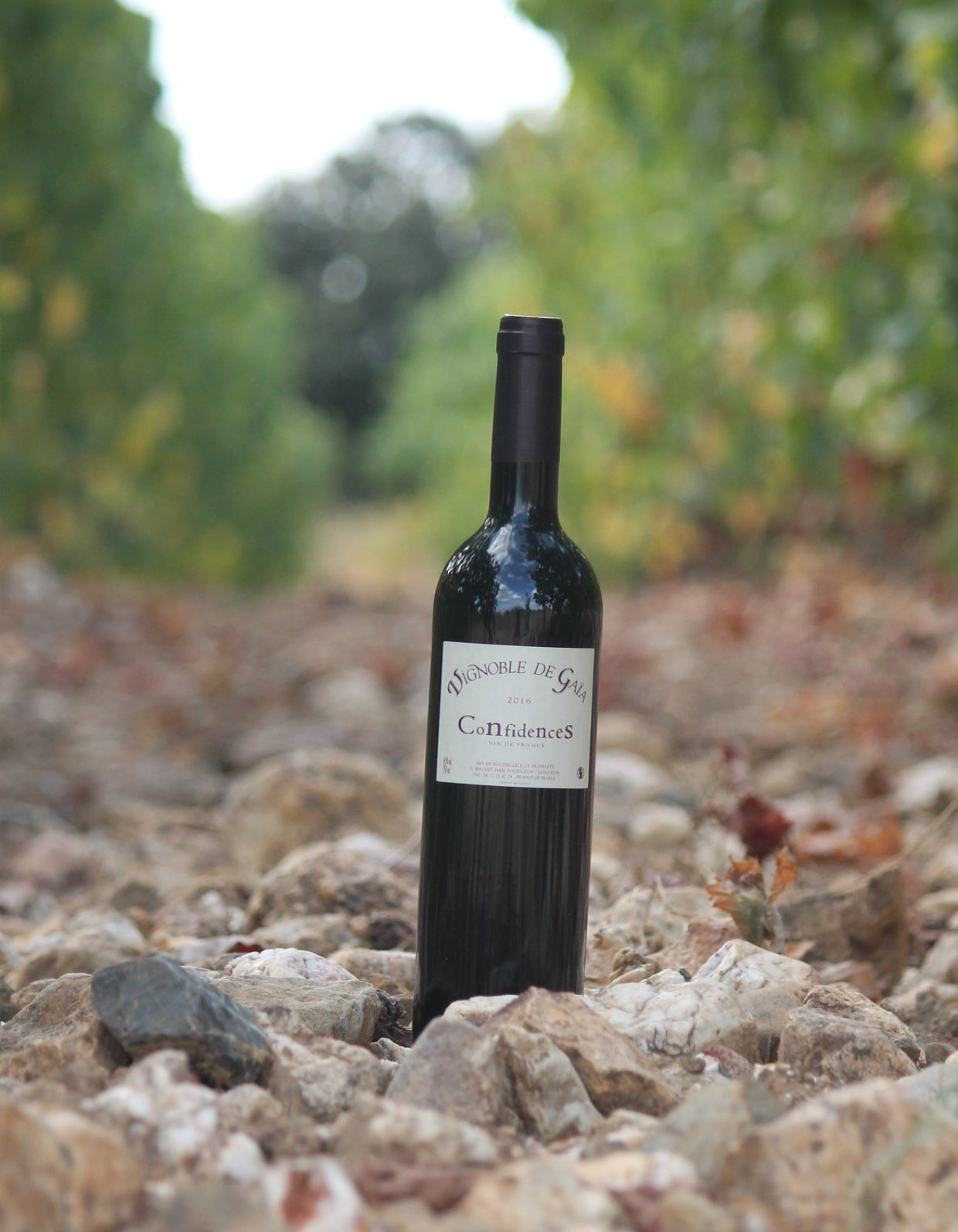 Confidences | 75cl