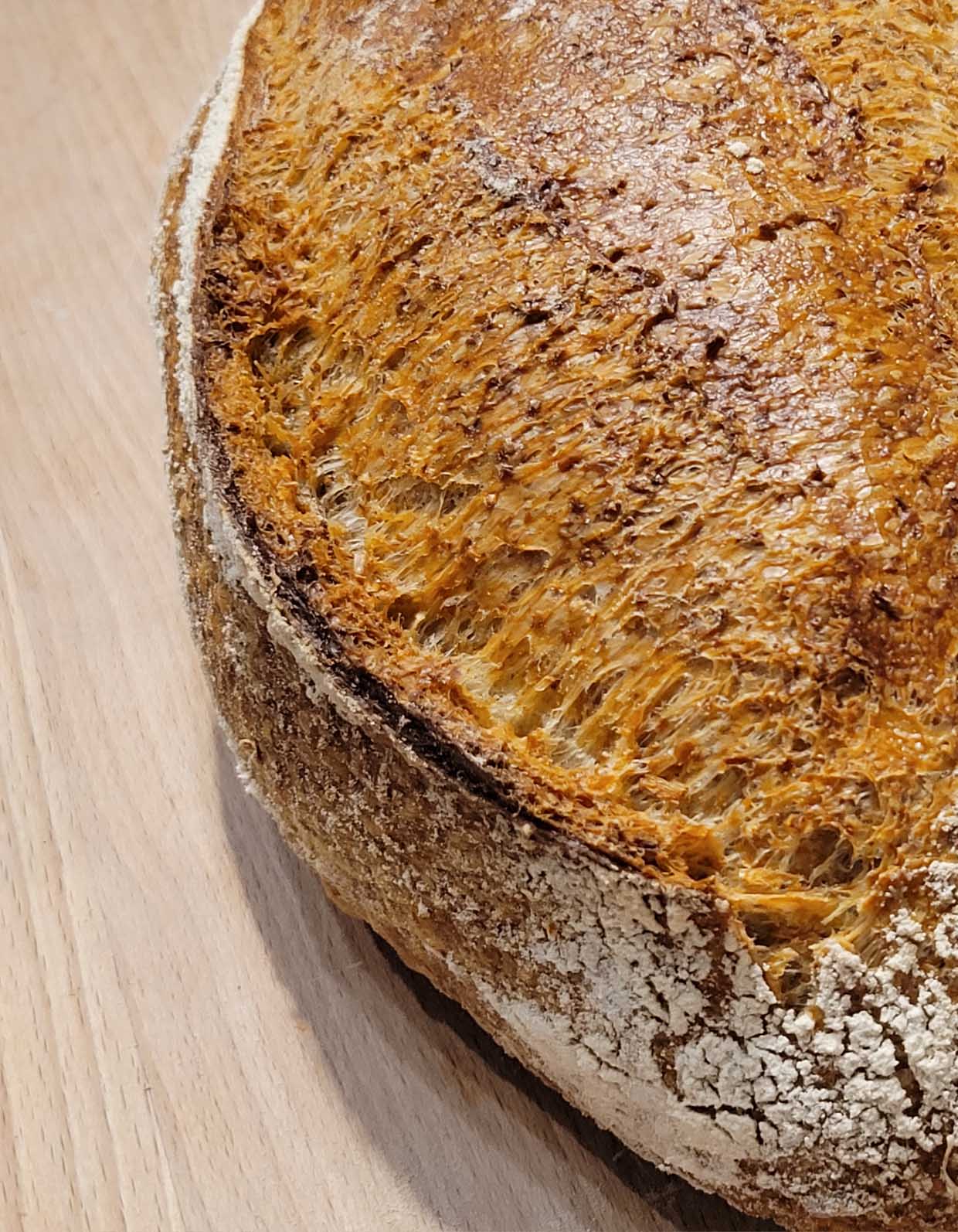 Pain | Complet | Grand - Produits alimentaires biologiques- Épices, tisanes, biscuits, etc - Epices & Tout