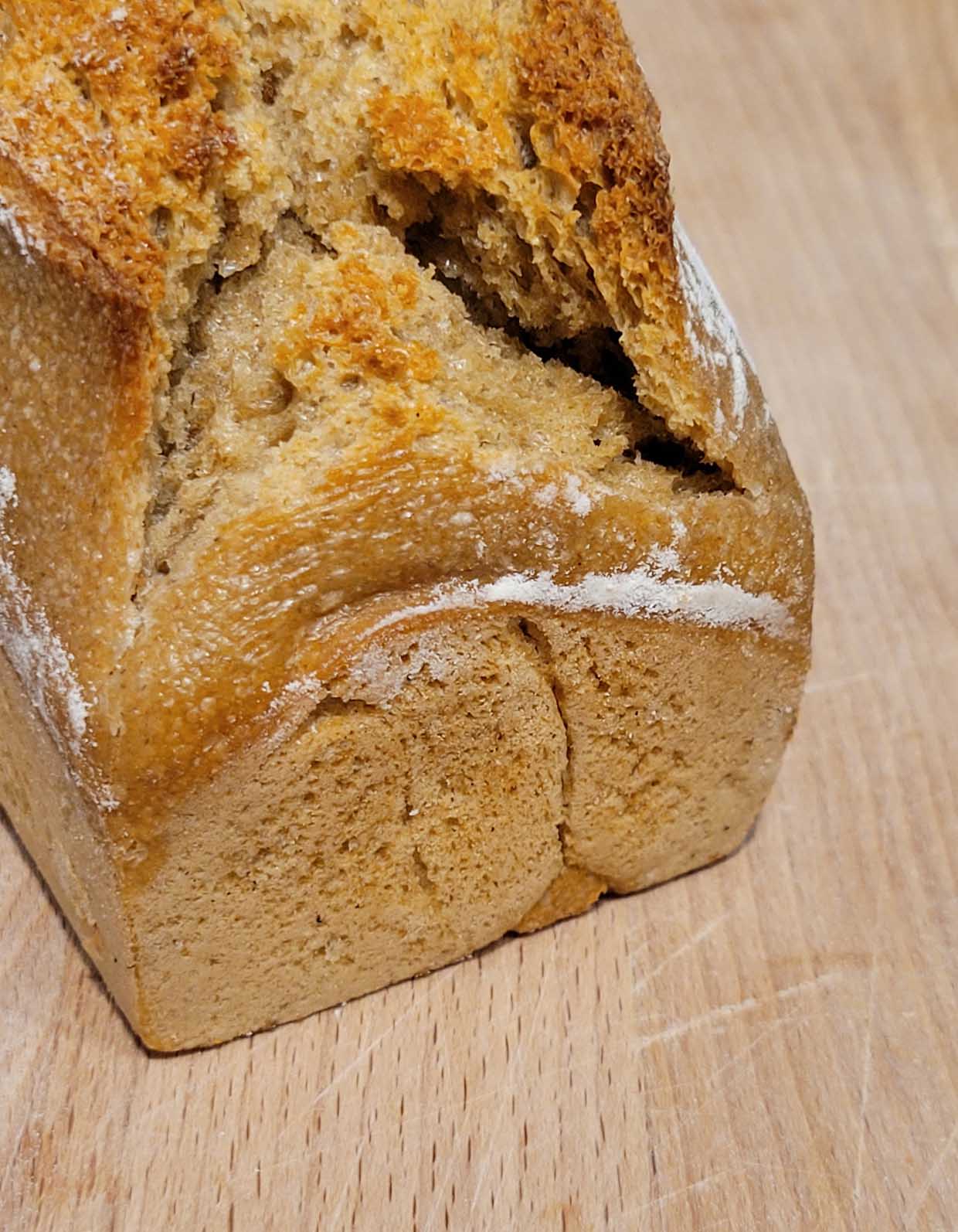 Petit épeautre - Produits alimentaires biologiques- Épices, tisanes, biscuits, etc - Epices & Tout