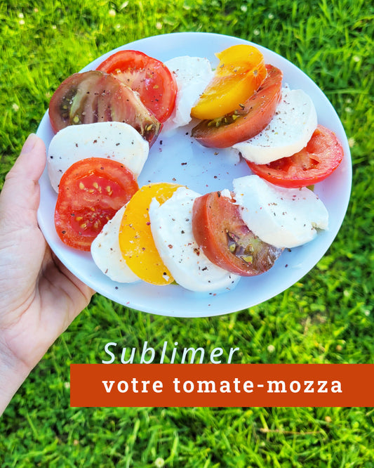 Sublimer une salade tomates mozzarella ? Les ingrédients qui changent tout !