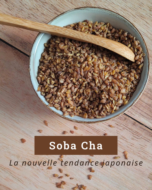 Entre noisette et douceur | le Soba Cha, ce trésor japonais