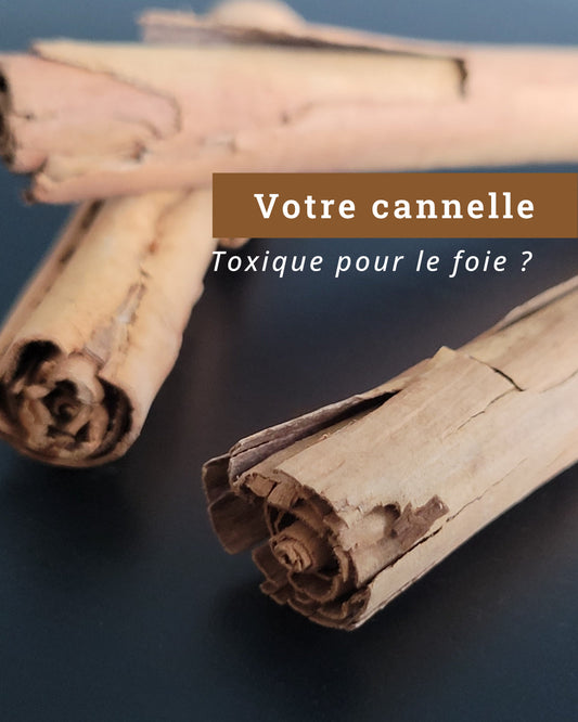 Cannelle de Ceylan : l’écorce des rois 👑