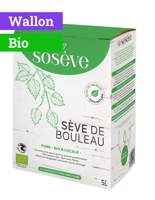 Sève de bouleau | 100 % pure | 5L | Bio