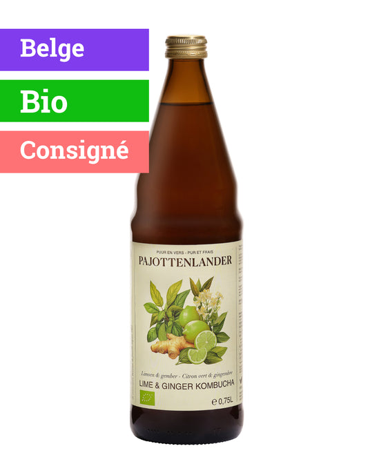Kombucha Citron Vert & Gingembre | 75cl | Bio