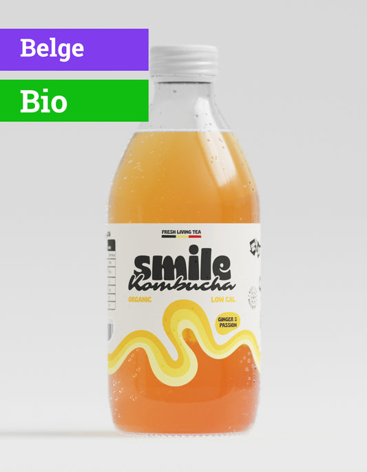 Kombucha Ginger Boost | 33cl | Bio