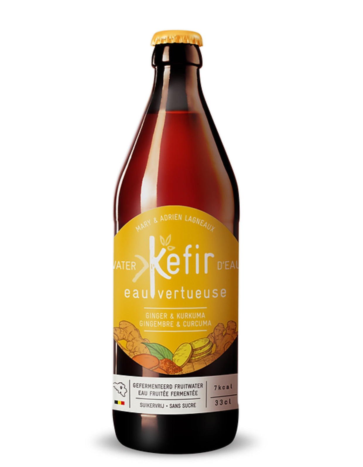 Kéfir Gingembre & Curcuma | Bio