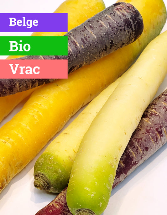 Carottes colorées | 500g | Bio