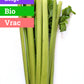 Céleri vert | Bio