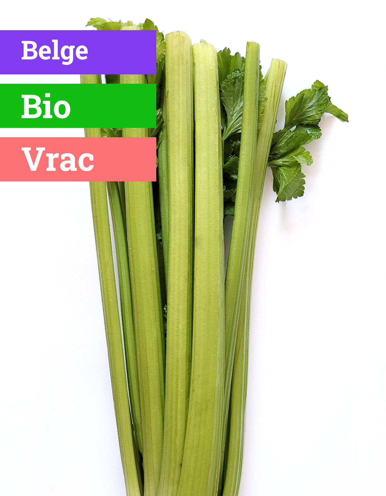 Céleri vert | Bio