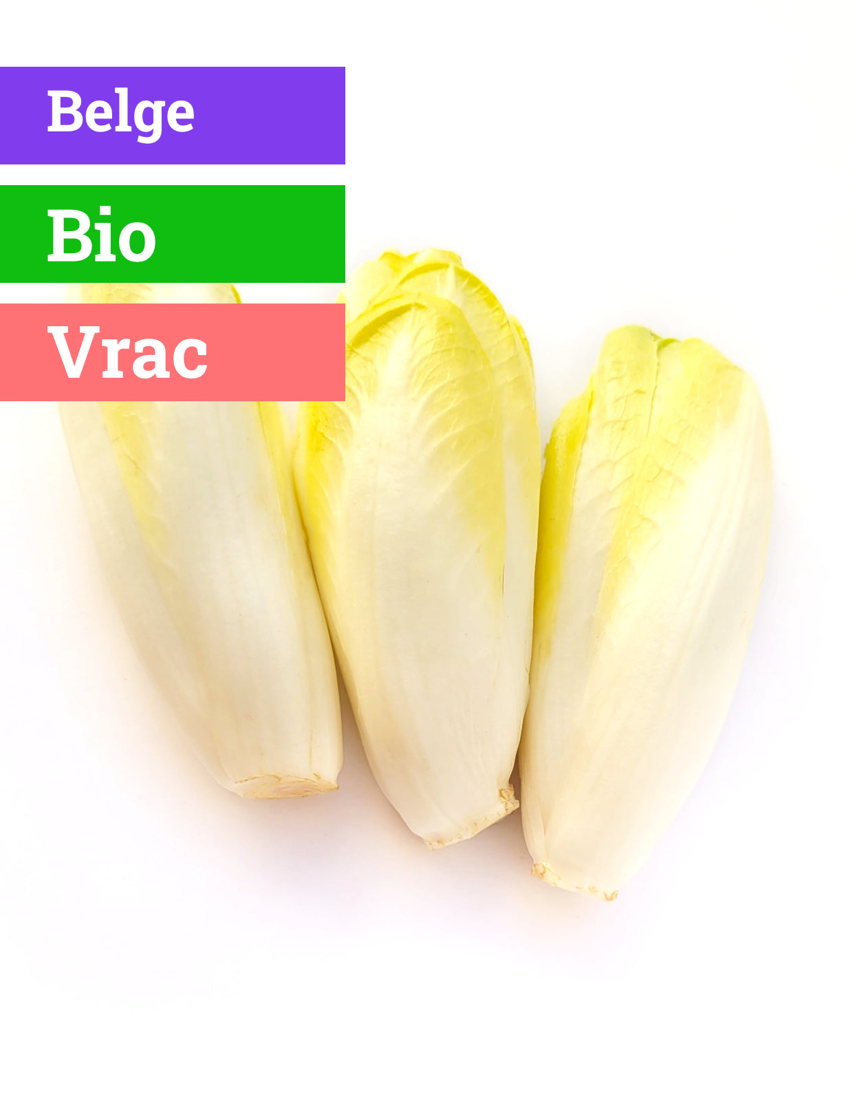 Chicon | Bio