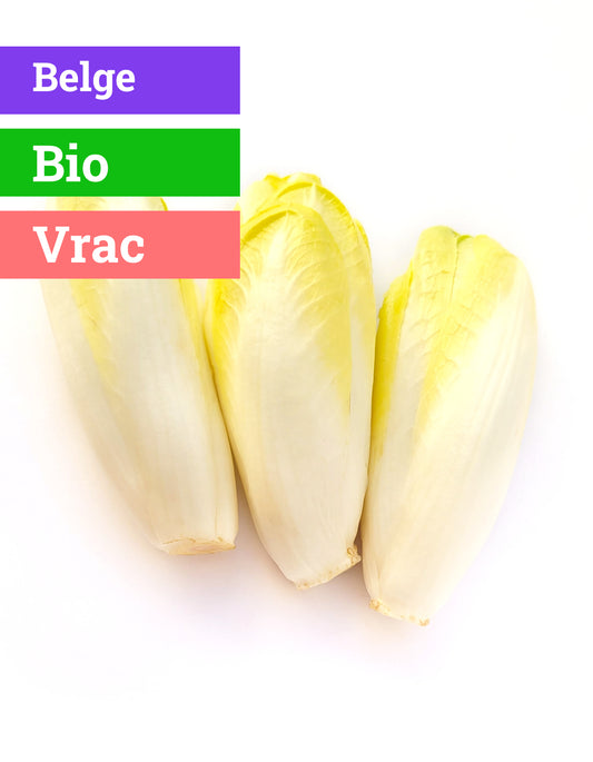 Chicon | 3 Pce | Bio