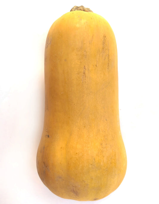Courge Butternut | Bio