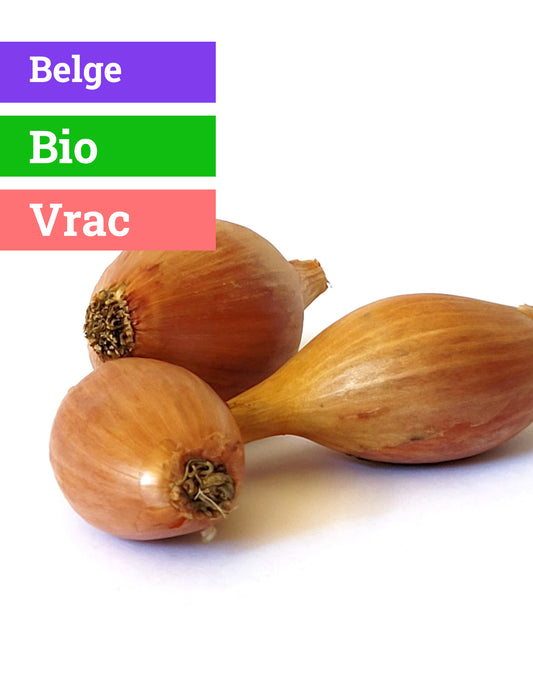 Echalote | 400g | Bio