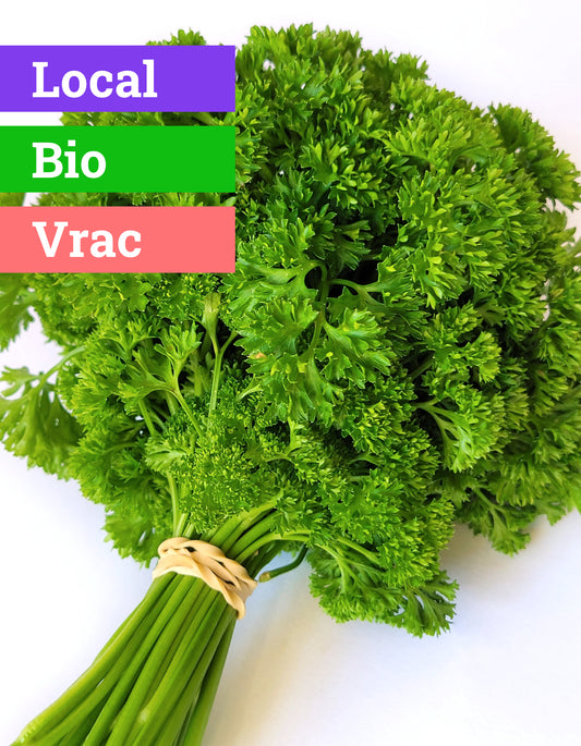 Persil frisé | 1 Pce | Bio