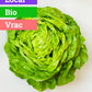Laitue Verte | Bio