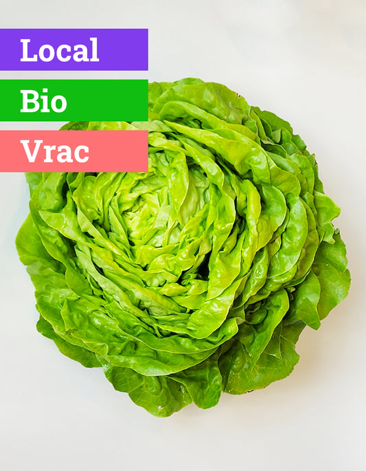 Laitue Verte | Bio