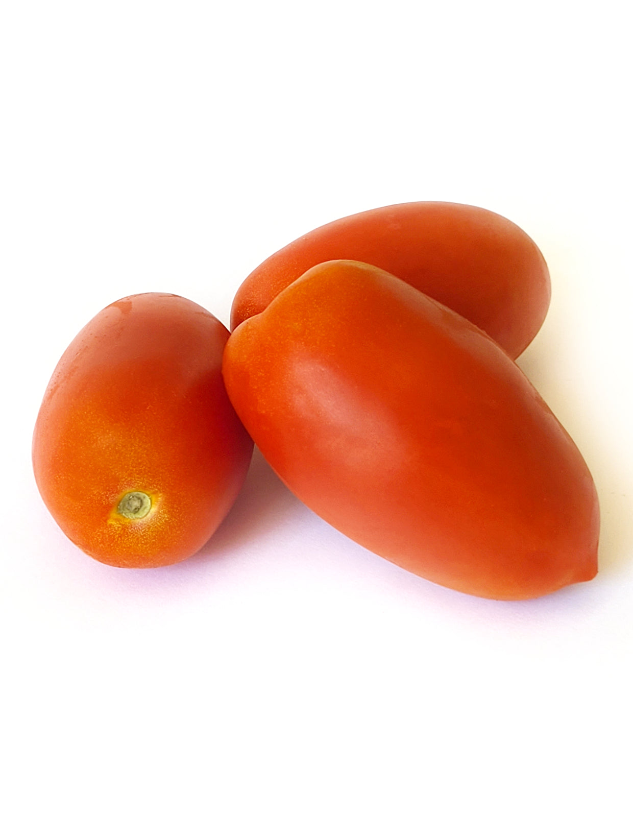 Tomates allongées | 270g | Bio