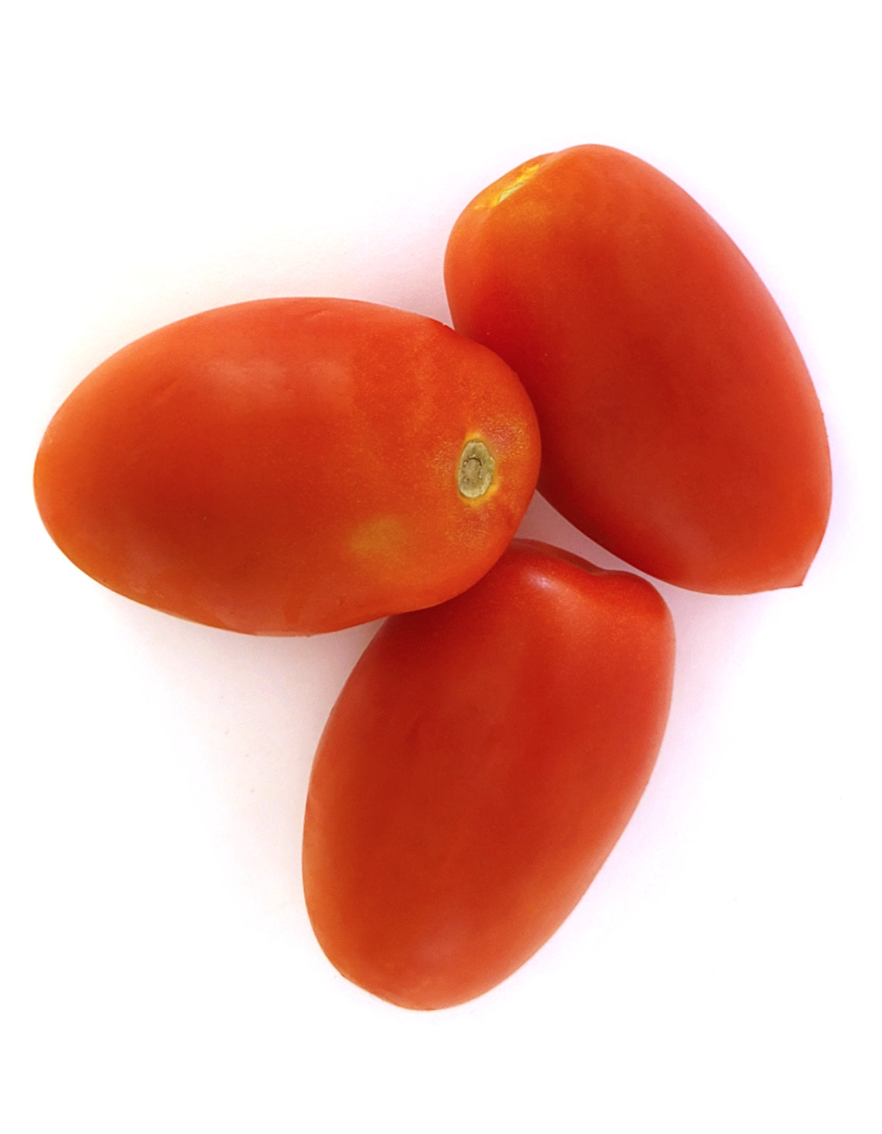 Tomates allongées | 270g | Bio