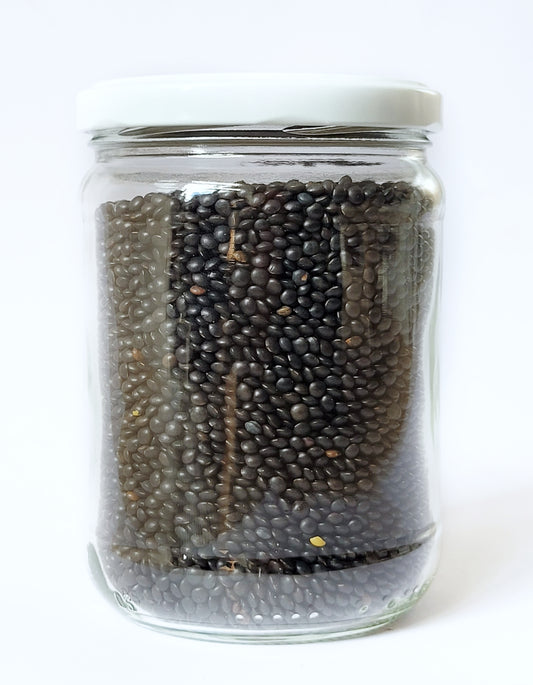 Lentilles noires | Beluga | 400g | Bio