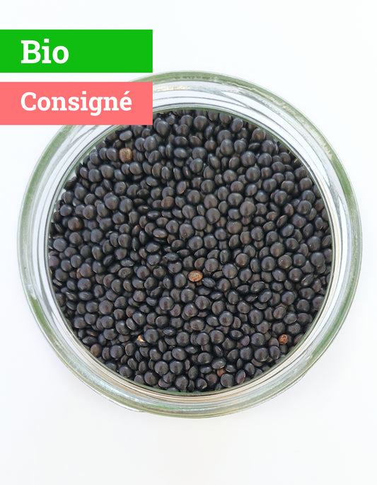 Lentilles noires | Beluga | 400g | Bio
