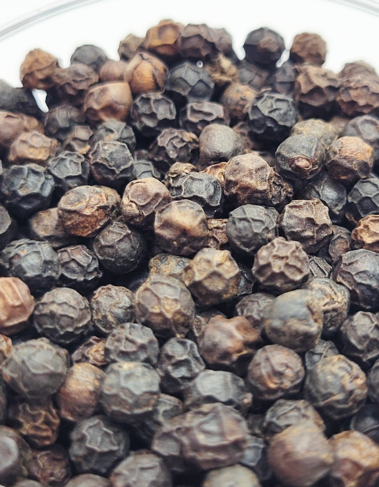 Tellicherry | Poivre noir