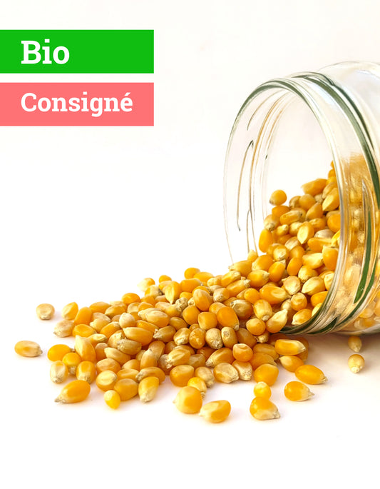 Maïs à Pop Corn | 410g | Bio